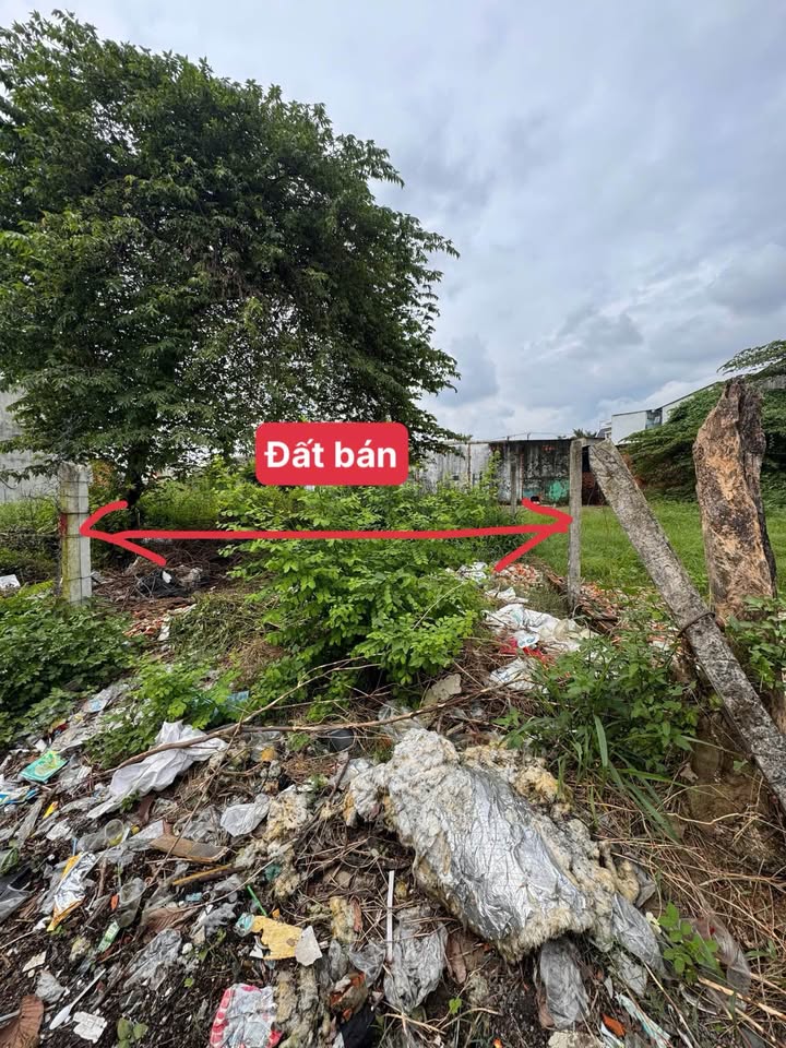 Đất nền mặt tiền kênh Ba Bò Thủ Đức 86m² giá 3.9 tỷ - Cơ hội đầu tư lý tưởng!