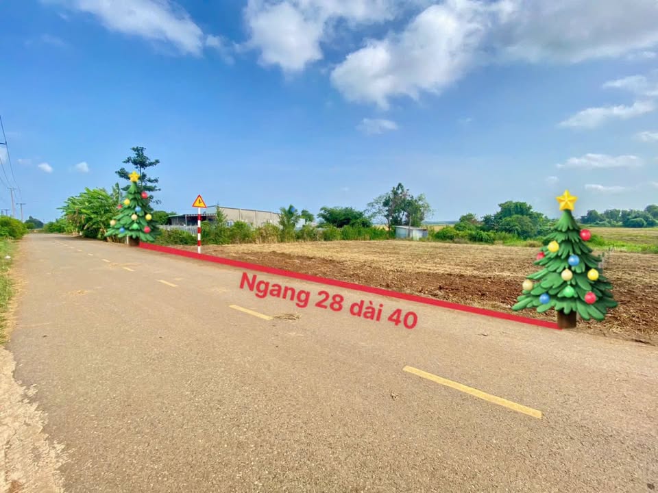 Đất vườn Đất Đỏ 1000m² giá 2.6 tỷ - Sổ đỏ chính chủ, đầu tư sinh lời!