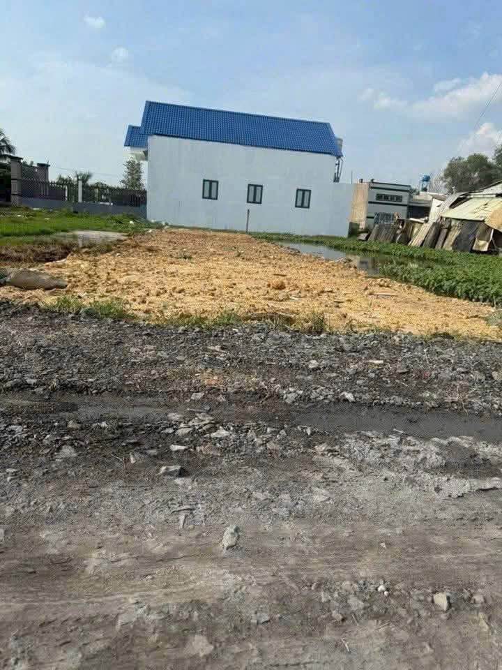 Đất thổ cư 125m² tại Mỹ Hạnh Bắc, Đức Hòa chỉ 950 triệu - Cơ hội đầu tư hấp dẫn!