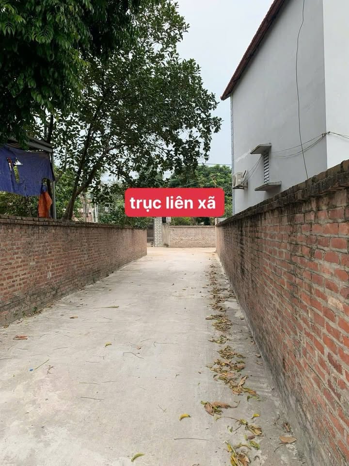 Đất thổ cư Kim Anh, Sóc Sơn 66m² giá 1.3 tỷ - Đầu tư sinh lời lý tưởng!