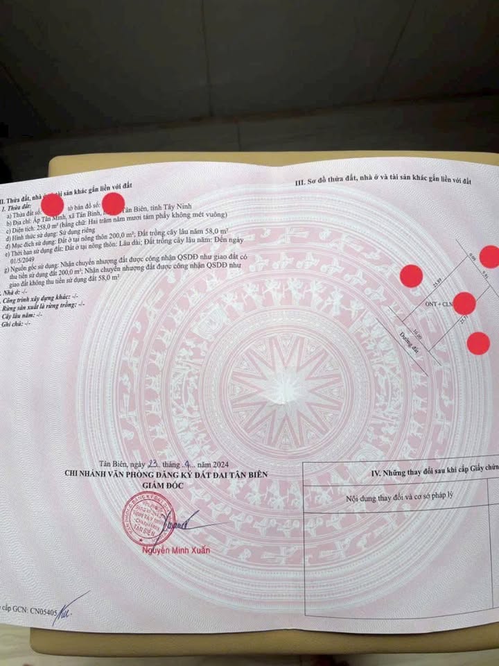 Đất nền Tân Bình, Tân Biên 250m² giá chỉ 2xx triệu - Cơ hội đầu tư tuyệt vời!