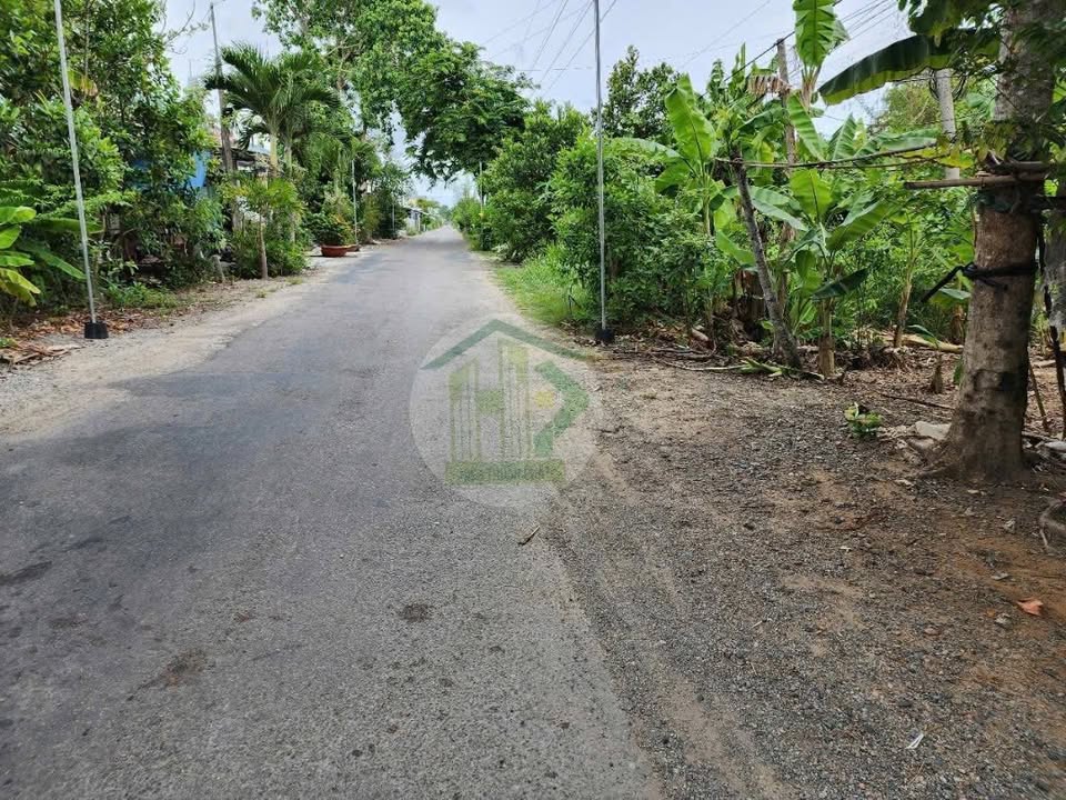 Đất nền 540m² tại ấp Ninh Phước, Bạc Liêu - Tiềm năng kinh doanh vượt trội!