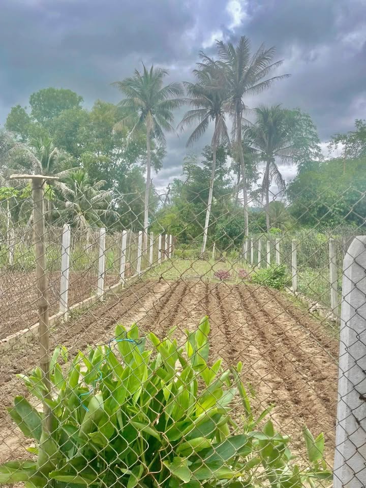 Đất nền Diên Lạc 135m² giá 950 triệu - Đầu tư sinh lời cao!