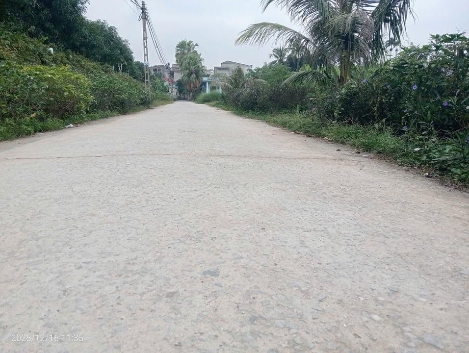 Đất liền kề 205m² tại Đông Hương - Đầu tư sinh lời, giá chỉ 3 tỷ!