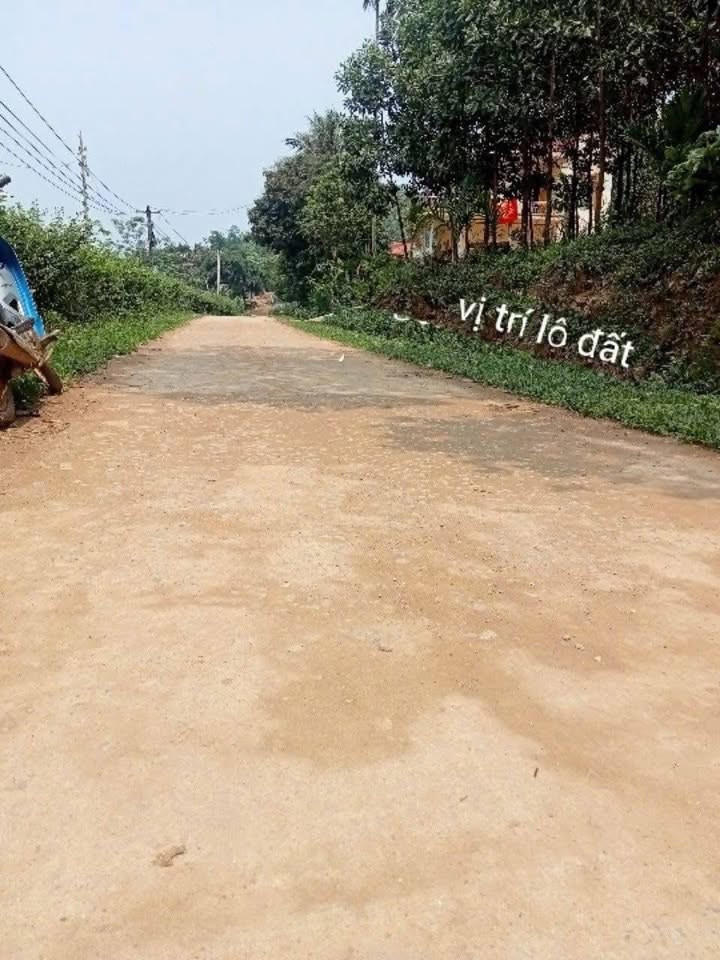 Đất nền 4500m² tại xã Thạch Tượng, Thạch Thành chỉ 900 triệu - Cơ hội không thể bỏ lỡ!