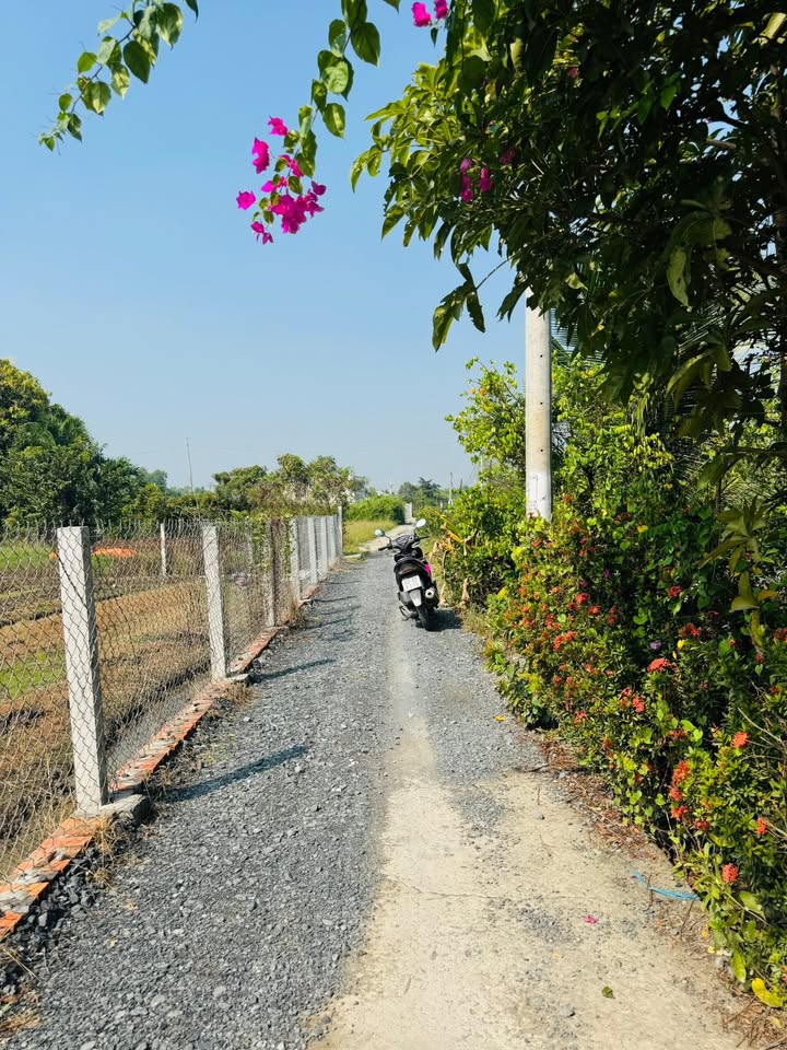 Đất thổ cư mặt tiền đường GTNT Petong 133m² giá 1.1 tỷ - Đầu tư sinh lời ngay!