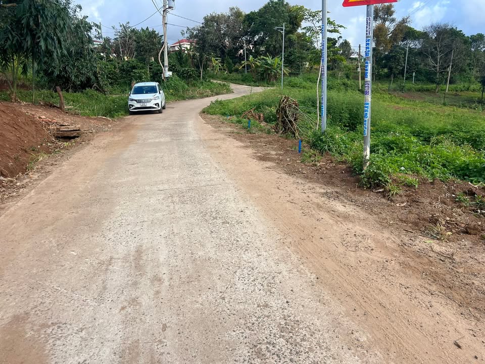 Đất thổ cư 250m² tại Quảng Lập, Đơn Dương - Giá chỉ 3xx triệu - Cơ hội đầu tư hiếm có!