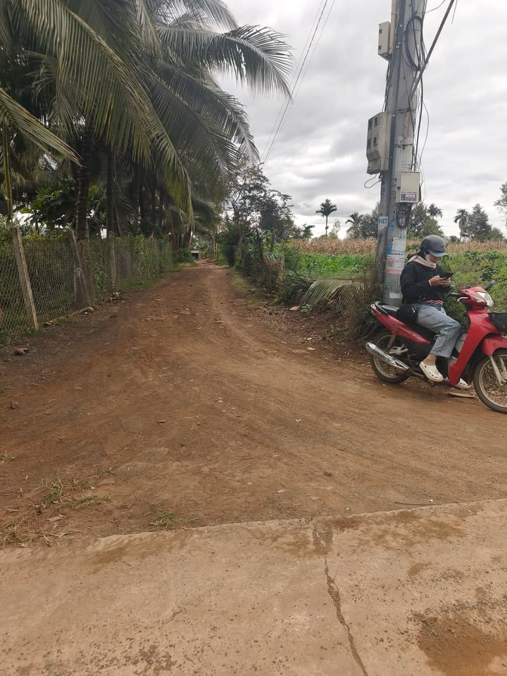 Đất nền Ea Pô 225m² giá 310 triệu - Sổ đỏ chính chủ, thuận tiện giao thông!