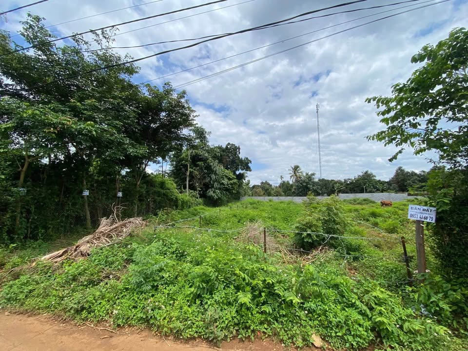 Đất thổ cư 200m² tại KA10, Ea Tu - Giá chỉ 1.35 tỷ, cơ hội đầu tư sinh lời!