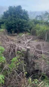 Đất nền khu phố 3, thị trấn Tân Sơn 210m² giá 1.05 tỷ - Cơ hội đầu tư hấp dẫn!