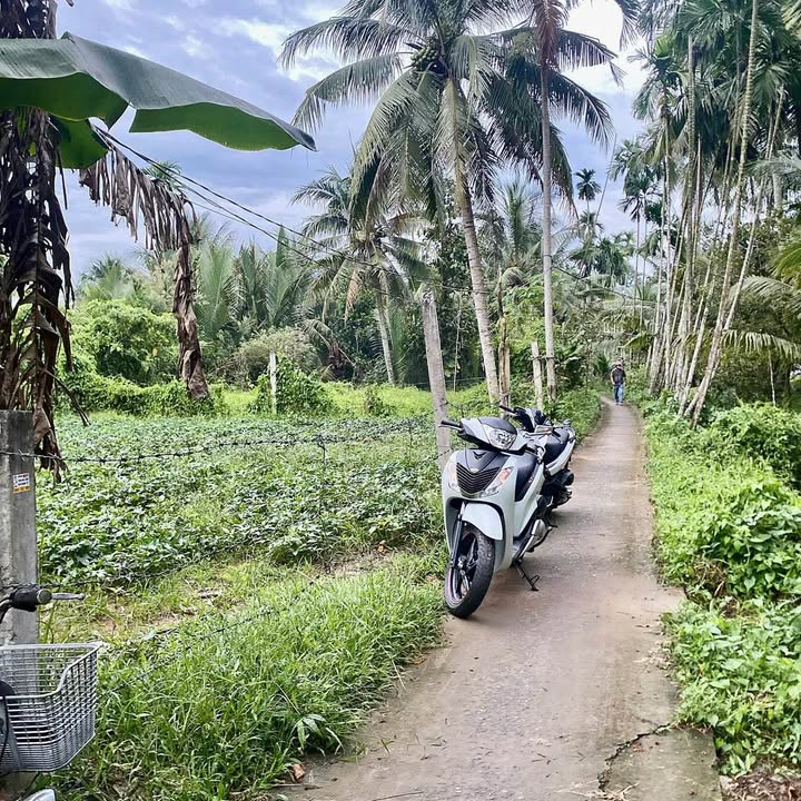 Đất nền mặt tiền Đường Đan Sơn Hoà, Châu Thành 302m² - Giá chỉ 520 triệu!