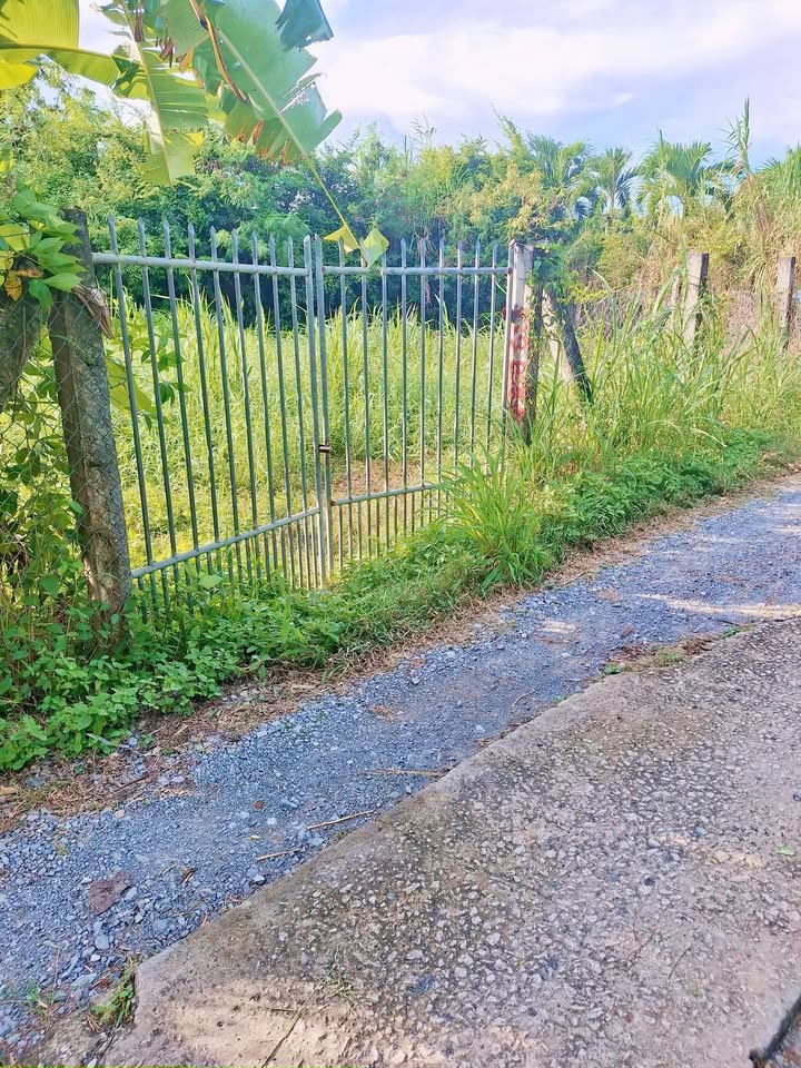 Đất nền Vĩnh An, Ba Tri, Bến Tre 352m² giá chỉ 530 triệu - Cơ hội đầu tư hấp dẫn!