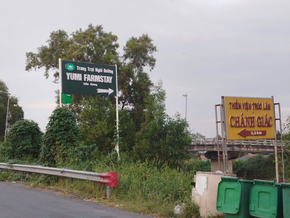 Đất nông nghiệp 5 hecta tại Thạnh Mỹ, Tân Phước - Đầu tư sinh lời, giá tốt chỉ 14.8 tỷ!