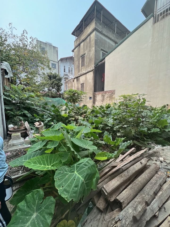 Đất nền Dương Nội 65m² giá 5.5 tỷ - Đầu tư sinh lời ngay!