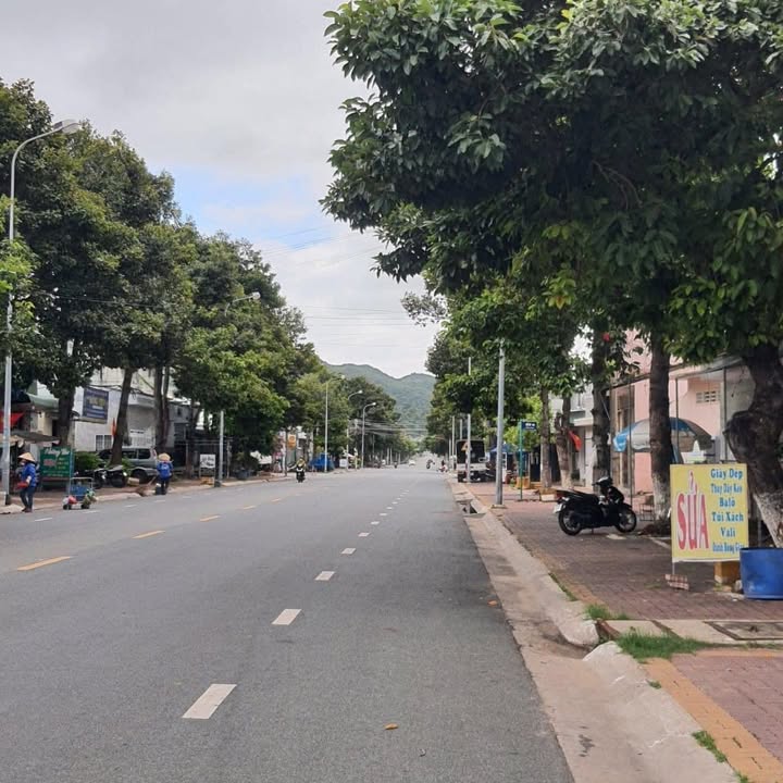 Đất biển Long Hải 377m² giá 4.2 tỷ - Mặt tiền đường bê tông rộng rãi!