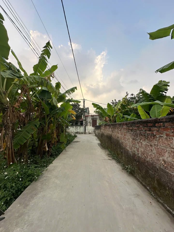 Đất nền Quất Động, Thường Tín 80m² giá 4 tỷ - Hướng tài lộc, vị trí đắc địa!