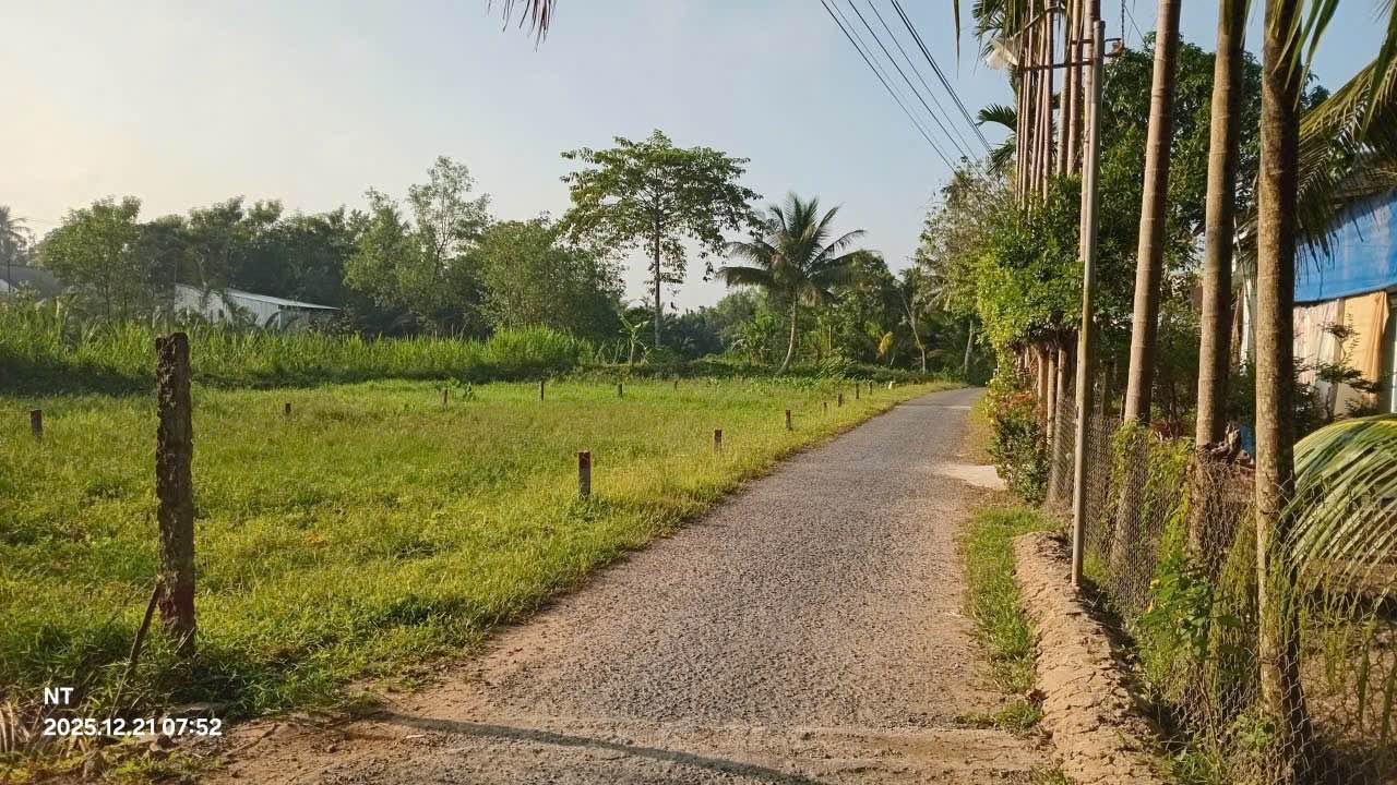 Đất thổ cư Tường Lộc, Tam Bình 200m² chỉ 400 triệu - Sổ đỏ chính chủ!