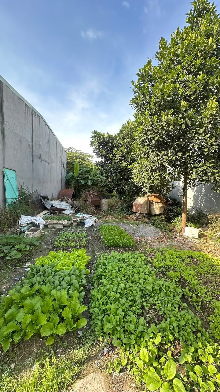 Cho thuê nhà xưởng 128m² tại Trảng Dài, Biên Hòa - Giá thỏa thuận hấp dẫn!