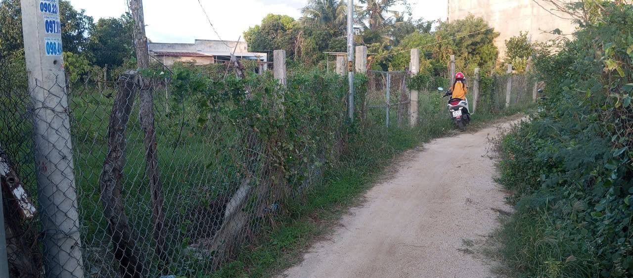 Đất mặt tiền 27m tại An Thạnh, Phước Dinh, 1926m² - Sổ đỏ, giá tốt thương lượng!