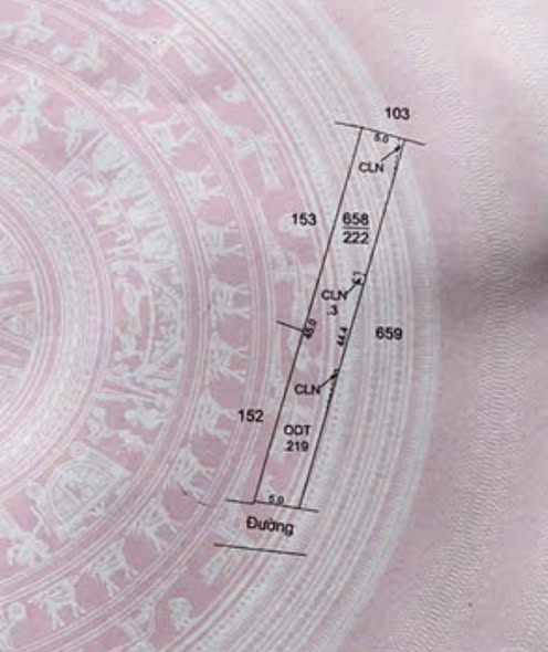 Nhà đất khu 5 Thị Trấn Cồn, Hải Hậu - Diện tích 222m² - Giá thỏa thuận hấp dẫn!