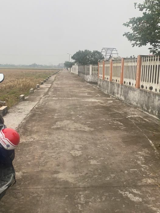 Đất thổ cư Nghĩa Lâm 775m² giá 2 tỷ - Sổ đỏ chính chủ, đầu tư tiềm năng!