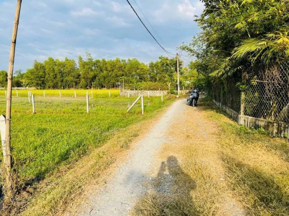 Đất vườn Thái Mỹ Củ Chi 500m² giá 1.35 tỷ - Cơ hội đầu tư tuyệt vời!