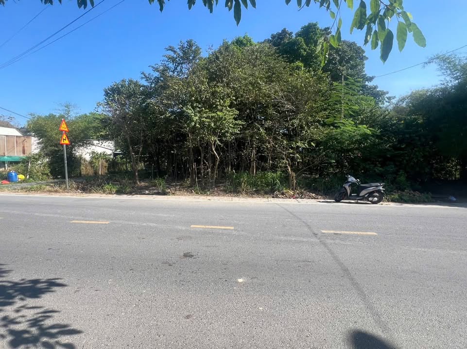 Bán Đất Mặt Tiền Đường Nguyễn Kim Cương, Củ Chi 686m² - Khu Dân Cư Đông Đúc!