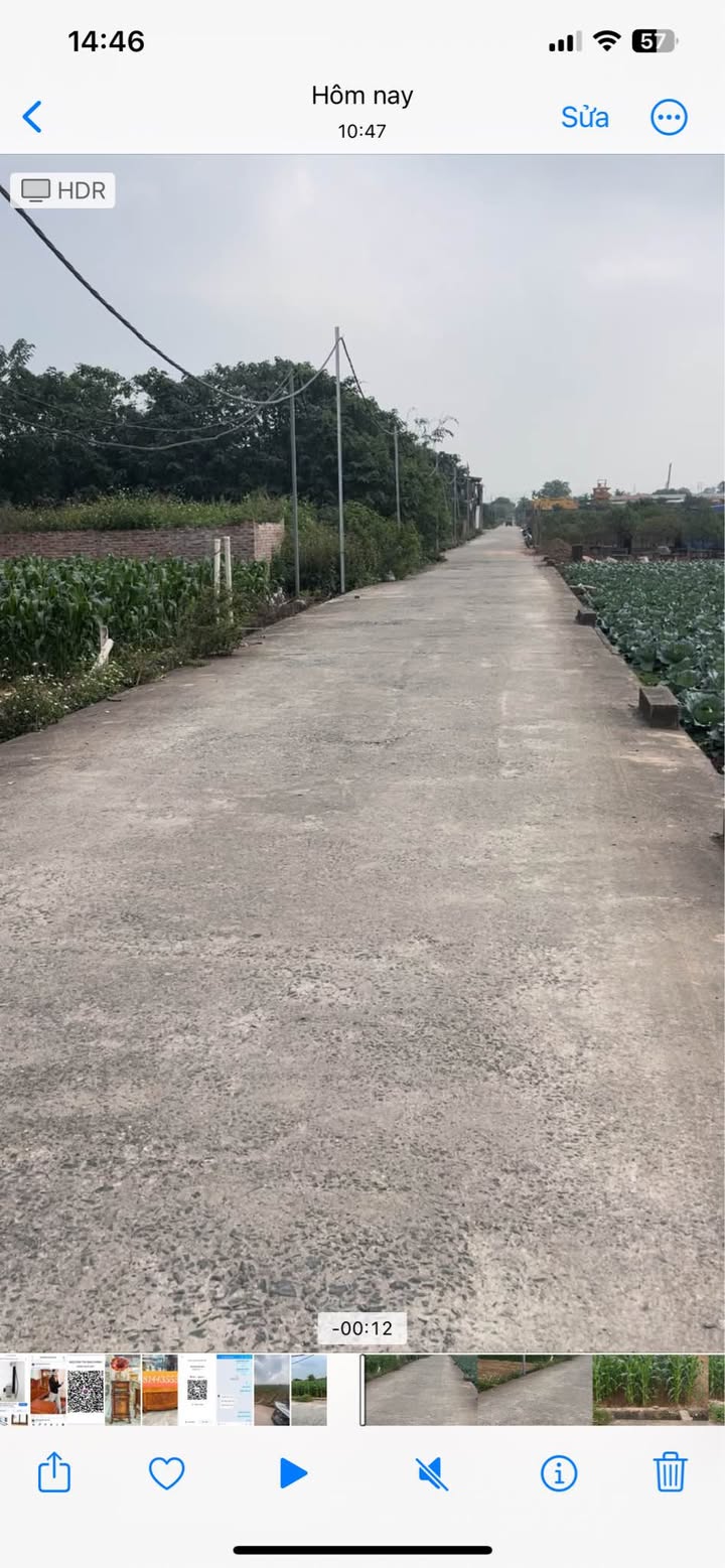 Đất trồng cây 600m² tại Song Phương, Hoài Đức - Giá chỉ 3.6 tỷ, sổ đỏ chính chủ!