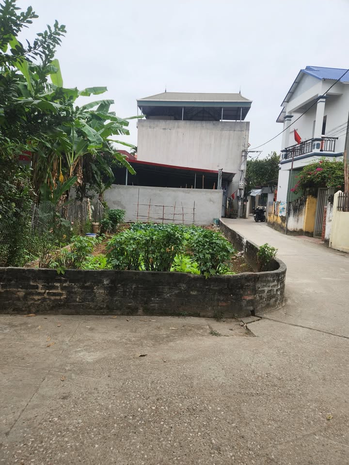 Đất Tân Hội Đan Phượng 59m² giá 3 tỷ - Đầu tư sinh lời hấp dẫn!