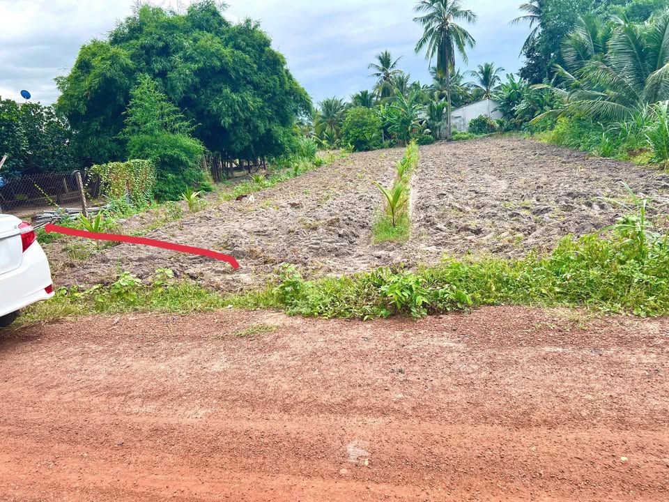 Đất nền xã Phan, Dương Minh Châu 175m² giá 350 triệu - Sổ đỏ chính chủ!