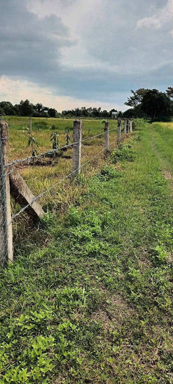 Đất nền 1 xào ở Hàm Liêm, Hàm Thuận Bắc - Giá 500 triệu, thích hợp làm nhà vườn!