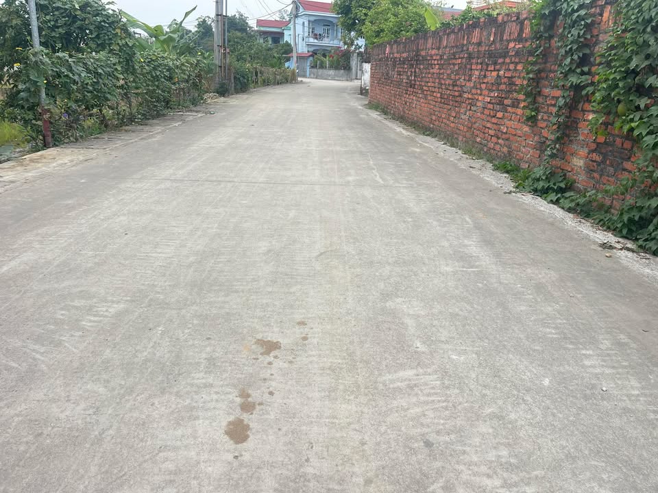 Đất nền Tân Minh, Sóc Sơn 59m² chỉ 1 tỷ - Sổ đỏ chính chủ, giao dịch ngay!