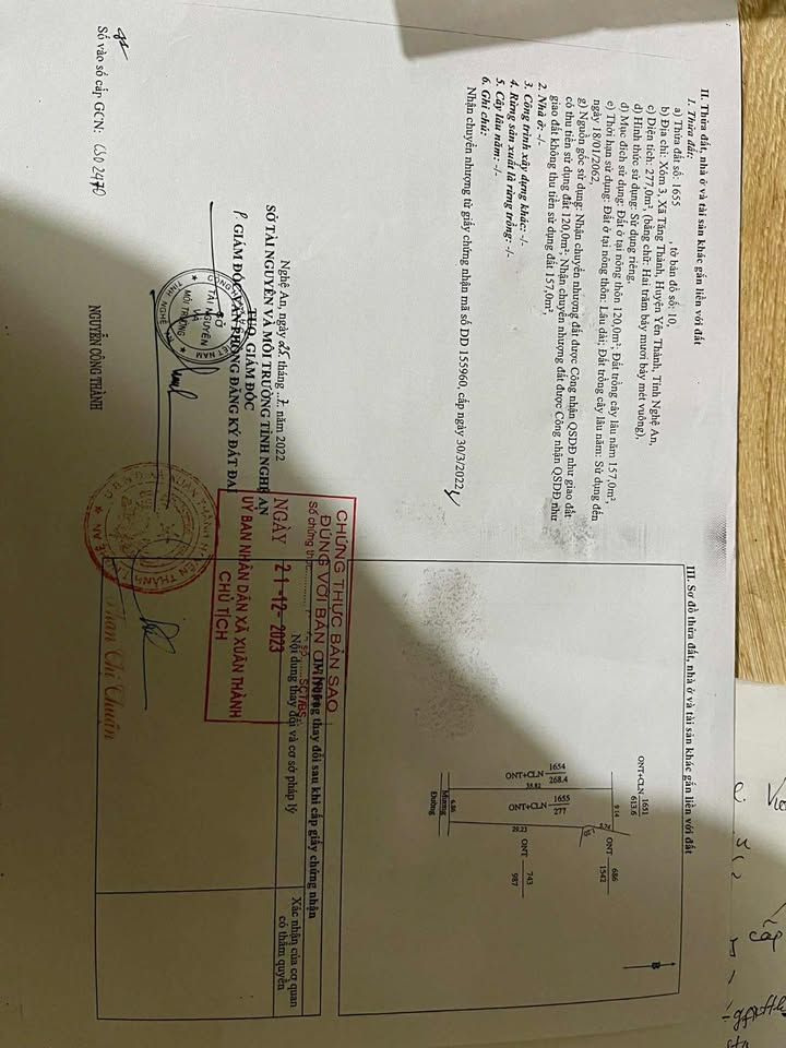 Đất nền Tăng Thành Yên Thành 245m² giá chỉ vài trăm triệu - Sổ đỏ chính chủ!