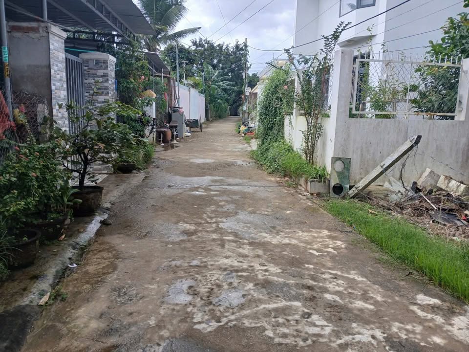 Đất thổ cư thôn An Ninh, Diên An 184m² giá 1.656 tỷ - Bán đất tặng nhà cấp 4 mới!