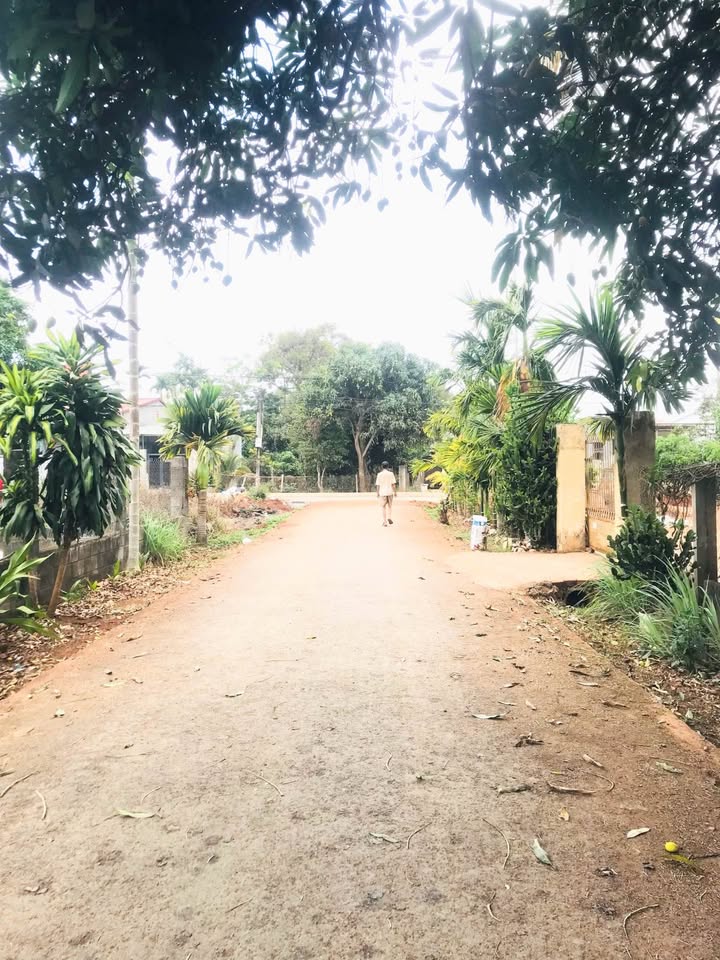 Đất thổ cư Tân Hoà 155m² giá 2.2 tỷ - Gần chợ đầu mối