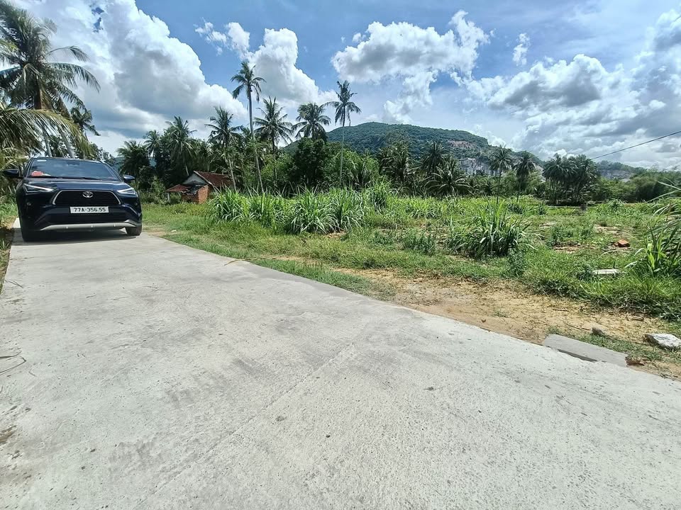 Đất thổ cư Mỹ Hòa Phù Mỹ 150m² giá chỉ 150 triệu - Cơ hội vàng cho đầu tư!