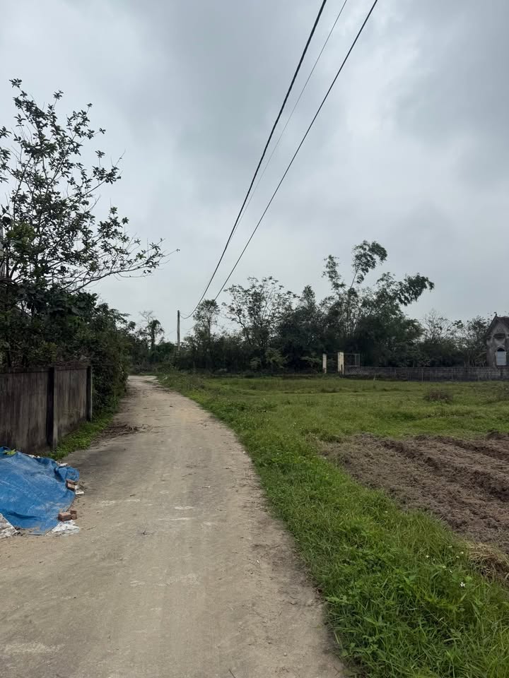 Lô đất Nghi Thái 94m² giá 1.2 tỷ - Cơ hội đầu tư tuyệt vời!