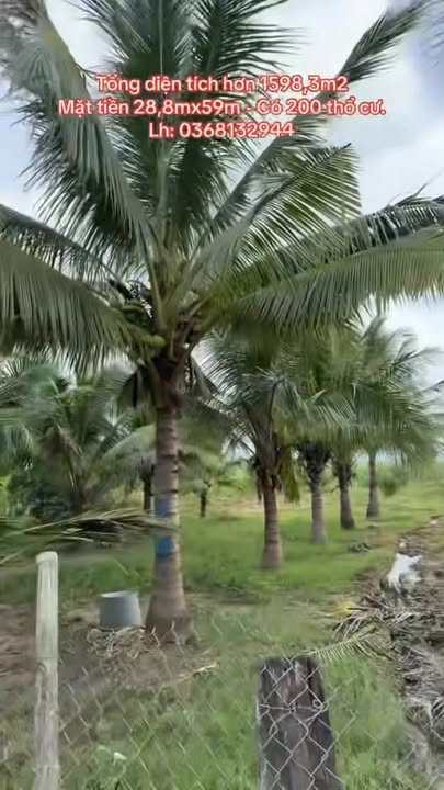 Đất thổ cư An Hòa, Đức Bình, Sông Hinh 1740m² - Cơ hội đầu tư tuyệt vời!