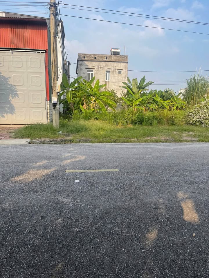 Đất Khu Viện Cây Lương Thực, Liên Hồng, 135m² giá 3 tỷ - Cơ hội đầu tư tuyệt vời!