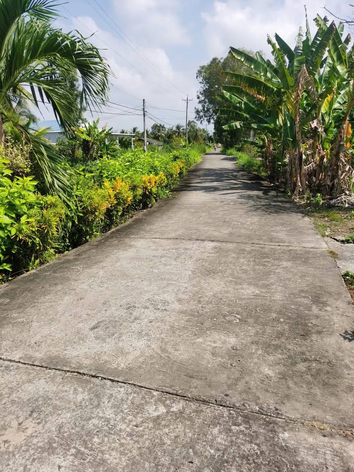 Đất nền Hòa Tú 2, Mỹ Xuyên, 1188m² giá 2.376 tỷ - Bán gấp, ô tô vào tận nơi!