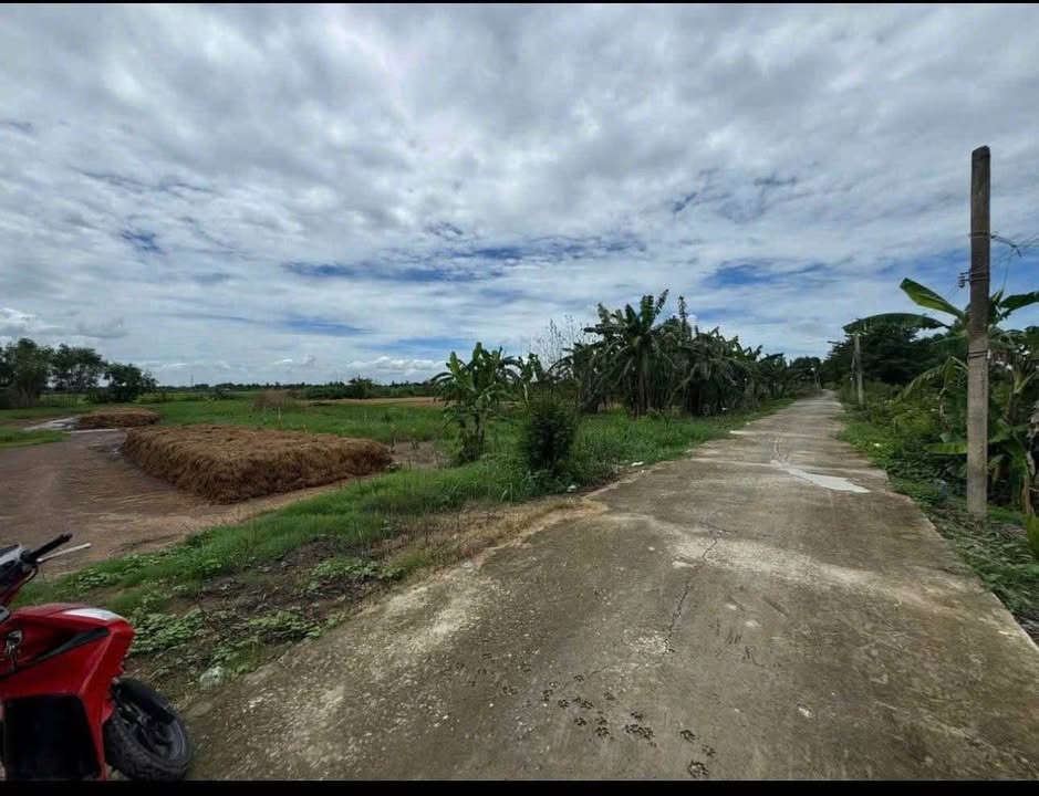 Đất vườn 2300m² tại Kênh Lung Cầu, Long Xuyên - Phù hợp nghỉ dưỡng!