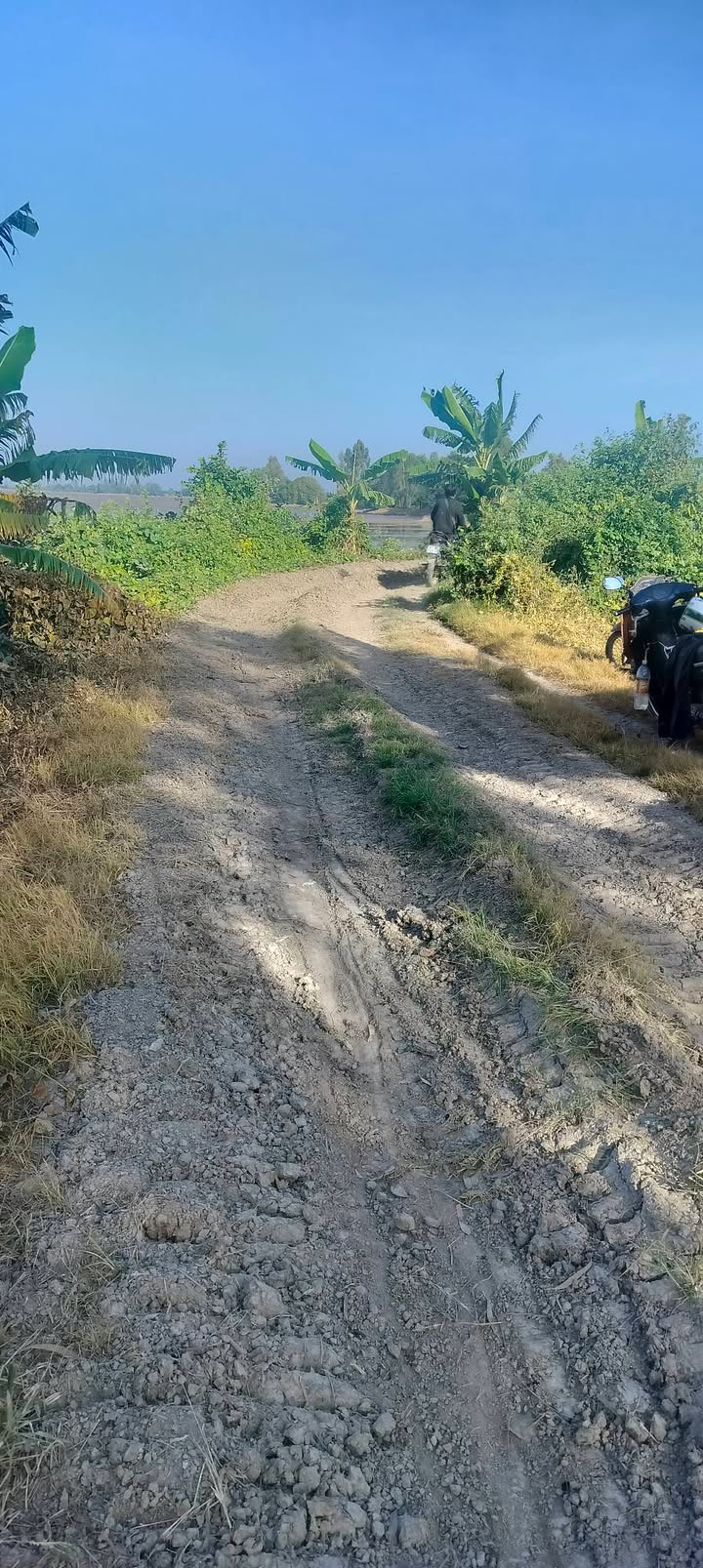 Đất nền 13.000m² xã Định Mỹ, An Giang - Giá chỉ 1.82 tỷ, sổ đỏ chính chủ!