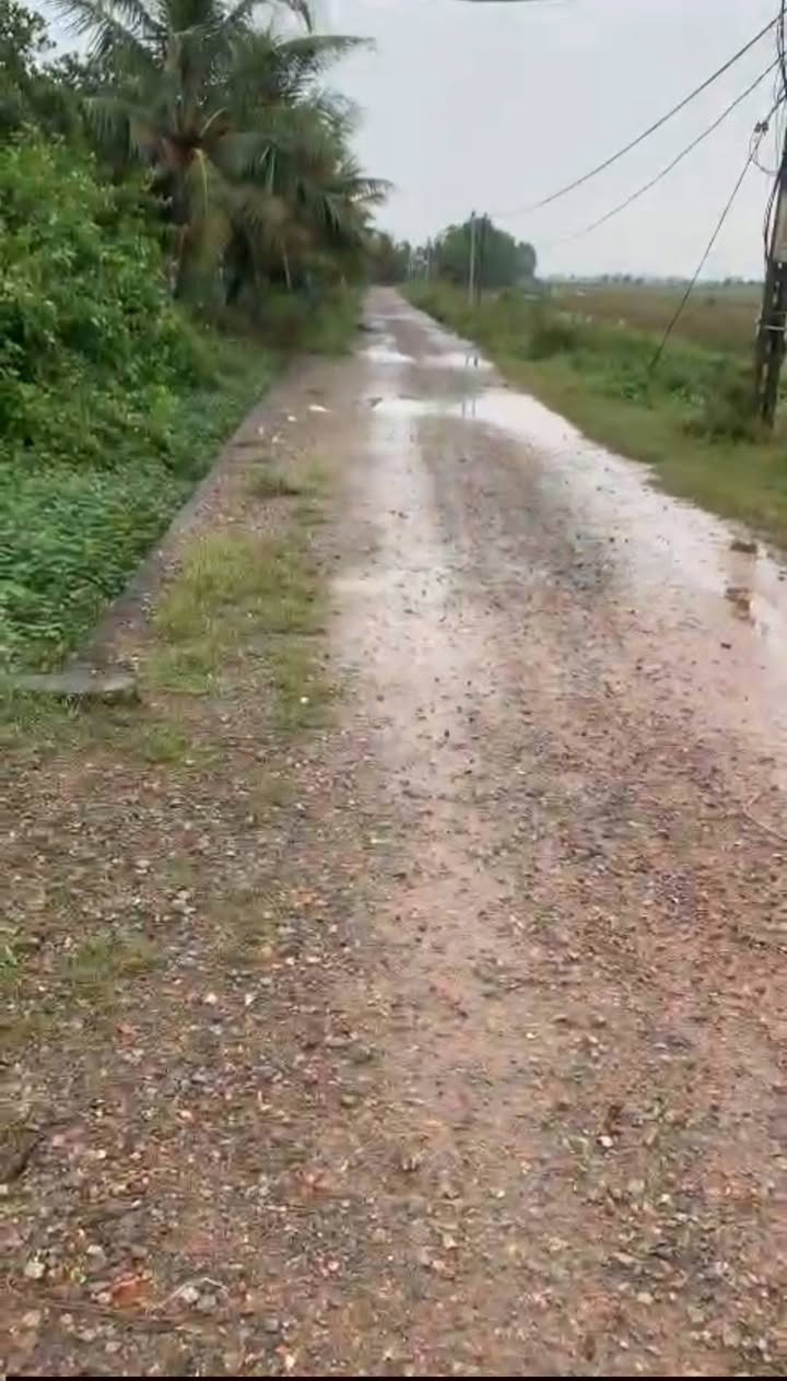 Đất Farm Hương Sơn, Hà Nội 10000m² - Vườn cây ăn quả, nhà kiên cố, ao cá!