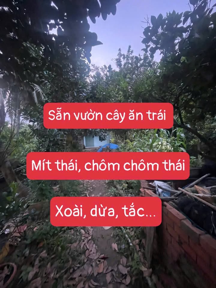 Đất thổ cư 1400m² xã Mỹ An, huyện Mang Thít, giá 999 triệu - Cơ hội đầu tư hấp dẫn!