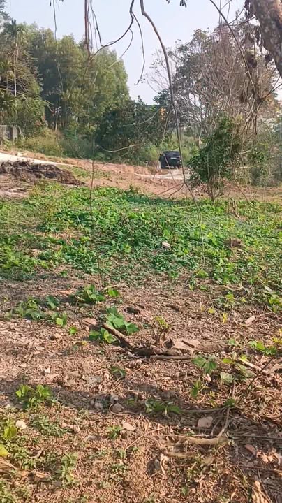 Mảnh vườn nghỉ dưỡng 3350m² tại Đồng Tâm, Yên Thế - Cơ hội đầu tư tuyệt vời!