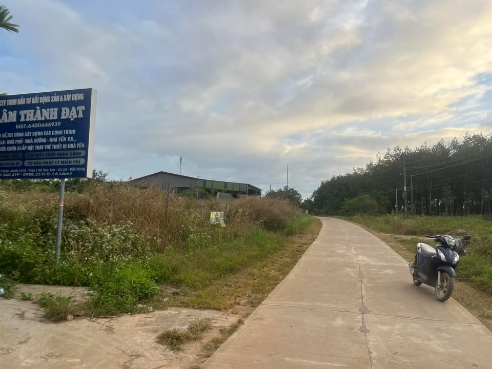 Đất nền Đắk Wil Cư Jút 1500m² giá 3 tỷ - Cơ hội đầu tư sinh lời!