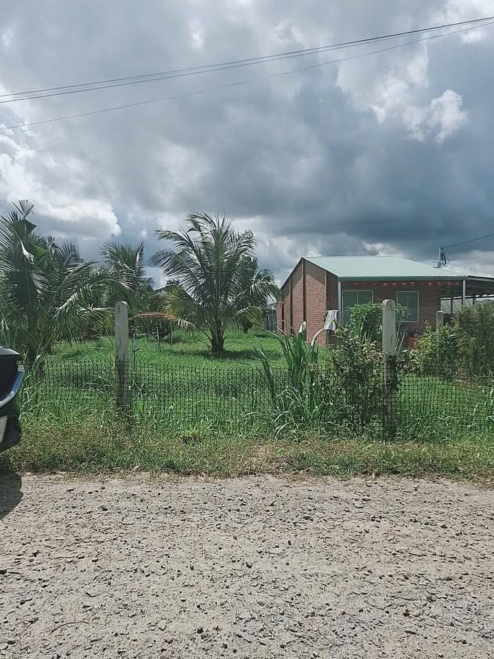 Đất nền Suối Đá Dương Minh Châu 276m² giá 550 triệu - Vị trí đẹp, thổ cư ngay mặt tiền!