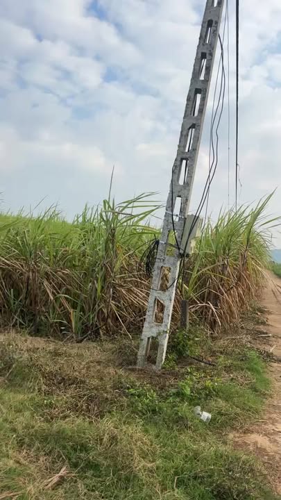 Đất nông nghiệp Nghĩa Phú Nghĩa Đàn 4,5ha giá 2,95 tỷ - Tiềm năng phát triển lớn!