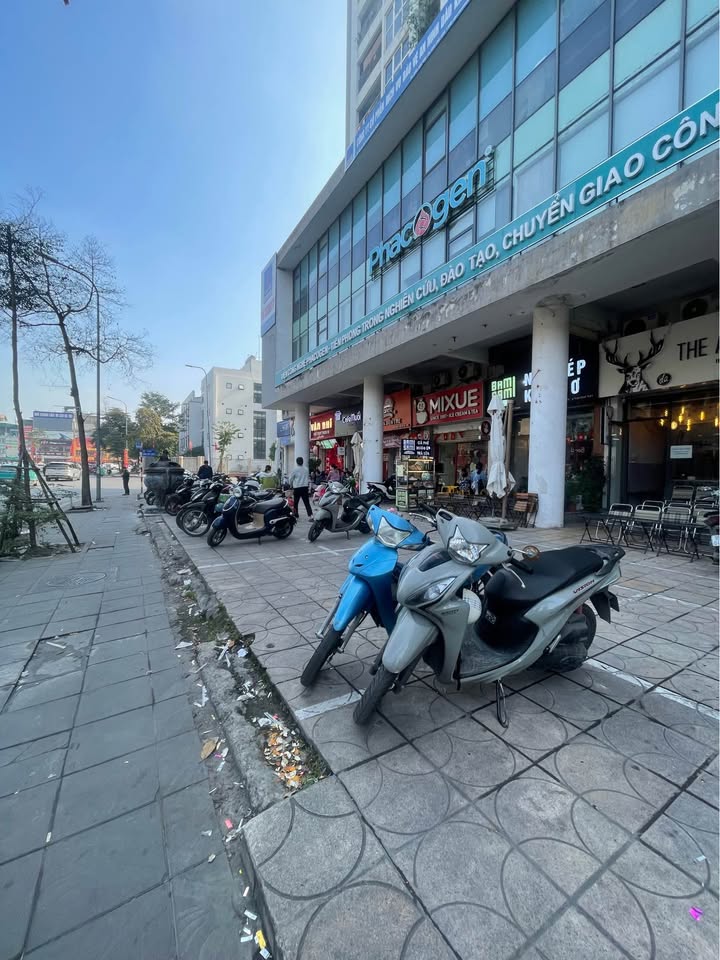 Nhà mặt phố Phạm Ngọc Thạch Đống Đa 48.5m² giá 16 tỷ - Đầu tư sinh lời cao!