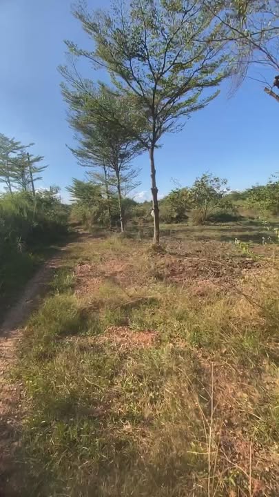 Đất nền ấp 2 Sông Trầu, Trảng Bom 100m² giá chỉ 390 triệu - Cơ hội vàng cho gia đình trẻ!